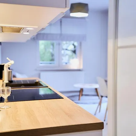 Ogrodowa 아파트 폴라니카-즈루이